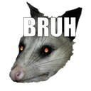 :BruhOpossum: