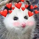 LoveOpossum