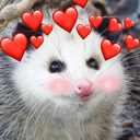 :LoveOpossum: