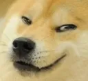 doge_smug