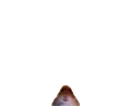 smolHamstare