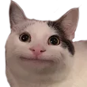 SmugCat