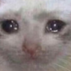 sad_10 Discord emoji