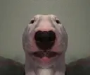 whenyoumissaneasyshot whenyoumissaneasyshot