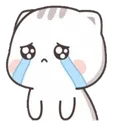 amcry