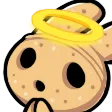 cocohalo cocohalo