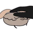 fleapetting