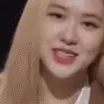aRoseCute
