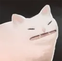 distaste