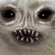 demoncat