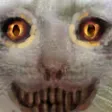 evilcat