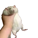 RatShake