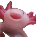 axohappy