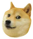 doge