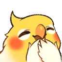 birbkek