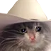 crycat