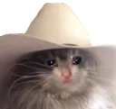 cowboy