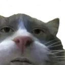 bruh