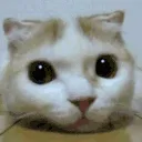 Catastrophe_CloseupFace