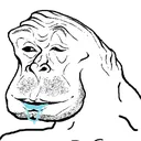 Wojak30
