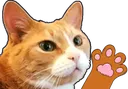 mylesHey