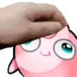 pettheDerp