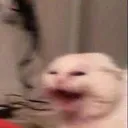 SCREAMSINPAIN