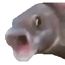 NM_PogFish
