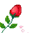 :roseblossom: