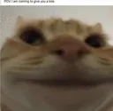 kittysmile kittysmile