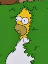 homer