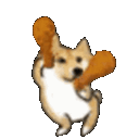 :dogedance: