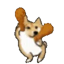 <a:dogedance:729923305363996693>