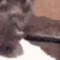 :wttff: