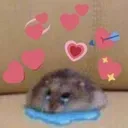 weepylovehamster