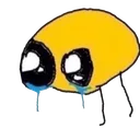 sob