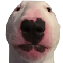 walter