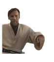 ObiNotBraveEnoughForPolitics ObiNotBraveEnoughForPolitics
