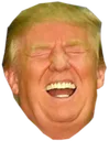 sunnytrump