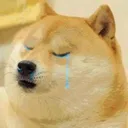 Doge Cry Discord Emoji
