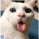 nade_nikallll