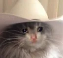 cowboy_kitty_cry