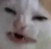 nobanana