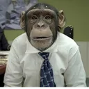 suitmonkey