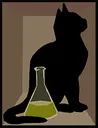 schrodingerscat schrodingerscat