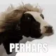 perhaps