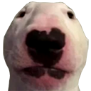 Bowwowwowyippieyoyippieyay