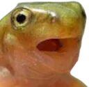 frogger