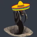 amigoImKot