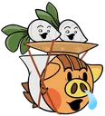 dmpog